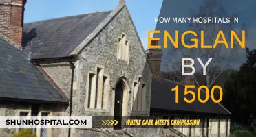 Medieval England: Hospitals and Healthcare
