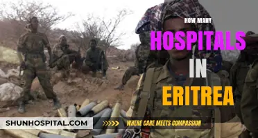 Exploring Eritrea's Healthcare: A Look at the Number of Hospitals