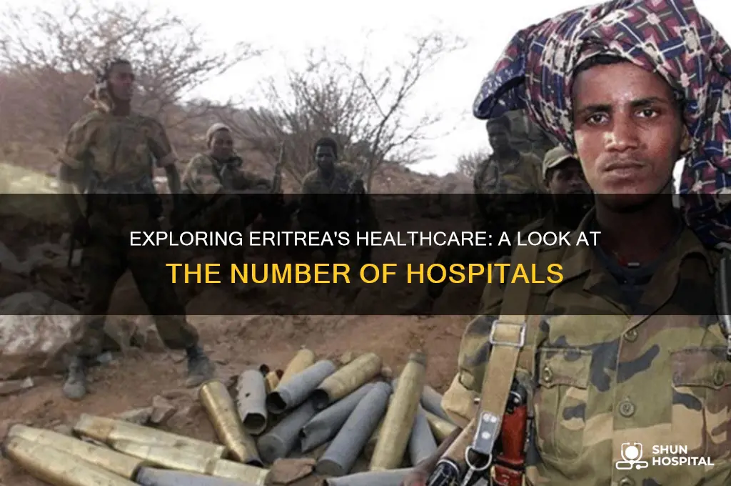 how many hospitals in eritrea