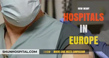 Exploring Europe's Healthcare Infrastructure: Hospital Count Across the Continent
