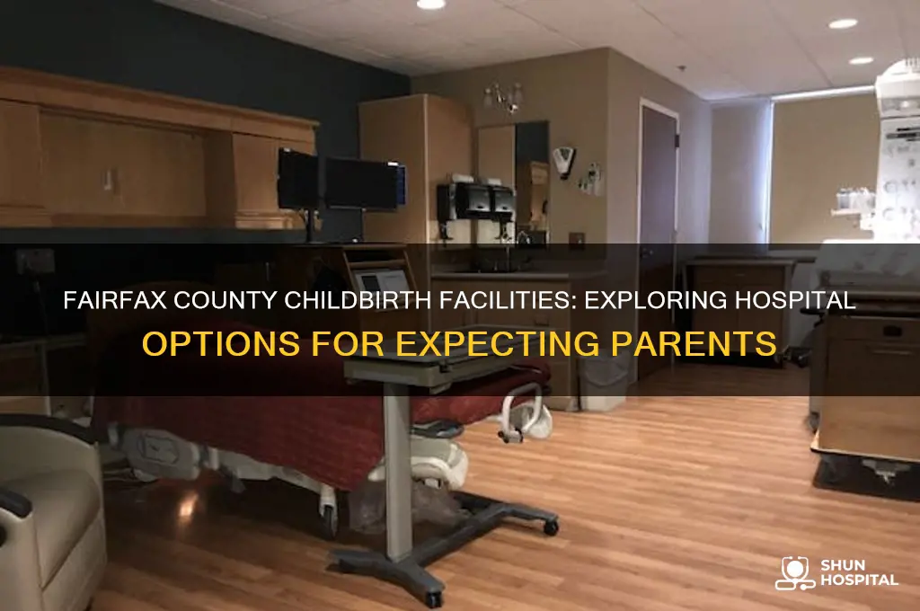 how many hospitals in fairfax county offer childbirth facilities