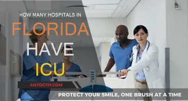 ICU Availability: Florida's Hospital Count