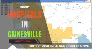 Exploring Gainesville's Healthcare: A Comprehensive Guide to Local Hospitals