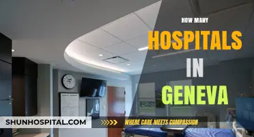 Exploring Geneva's Healthcare: A Comprehensive Guide to Local Hospitals