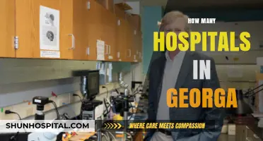 Exploring Georgia's Healthcare: A Comprehensive Look at Hospital Count