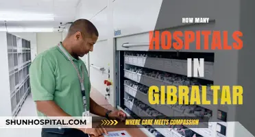 Exploring Gibraltar's Healthcare: A Look at Its Hospital Count