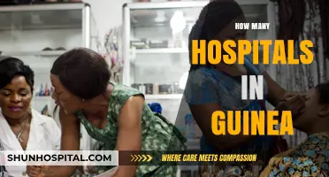 Exploring Guinea's Healthcare Infrastructure: Counting Hospitals Across the Nation