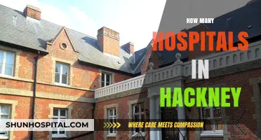 Exploring Healthcare Access: Hospital Count in Hackney, London
