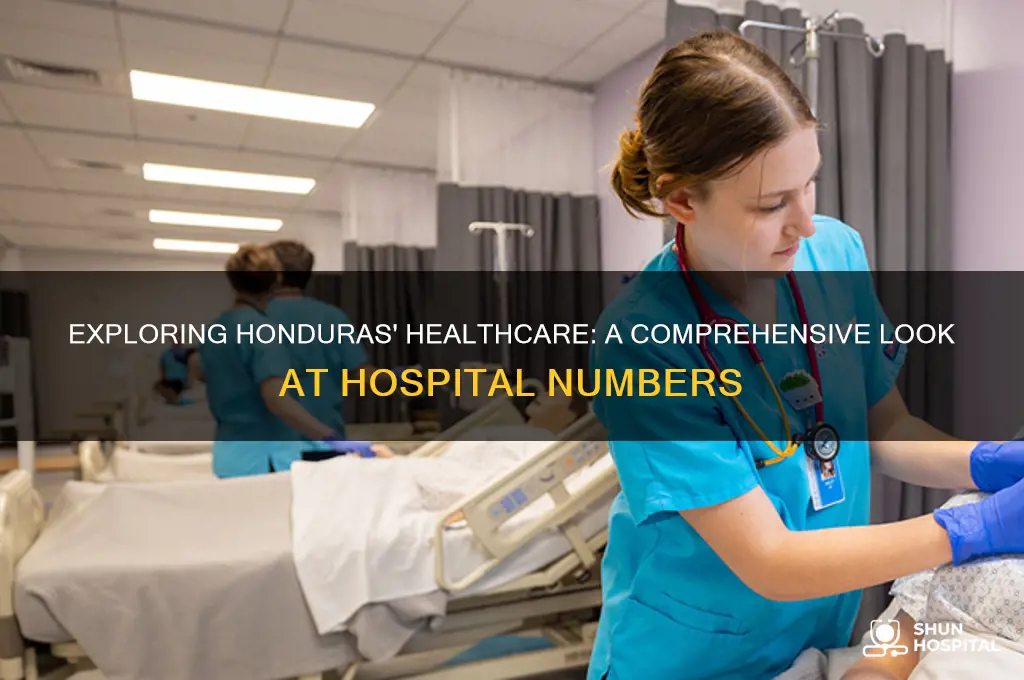 how many hospitals in honduras
