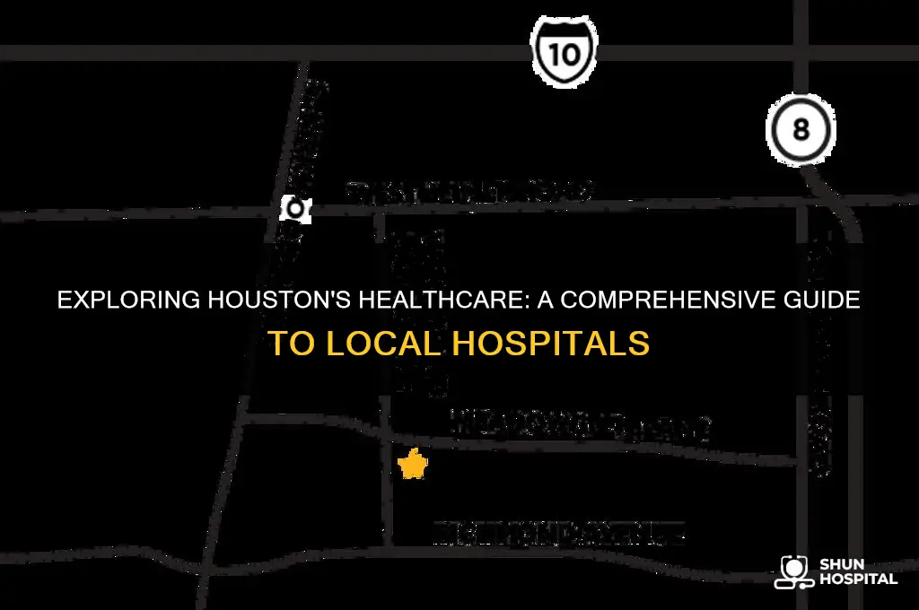 how many hospitals in houston