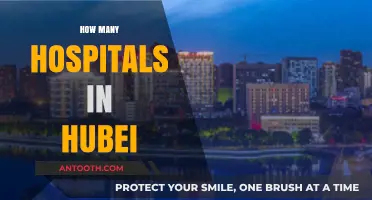 Exploring Hubei's Healthcare: A Comprehensive Look at Hospital Numbers