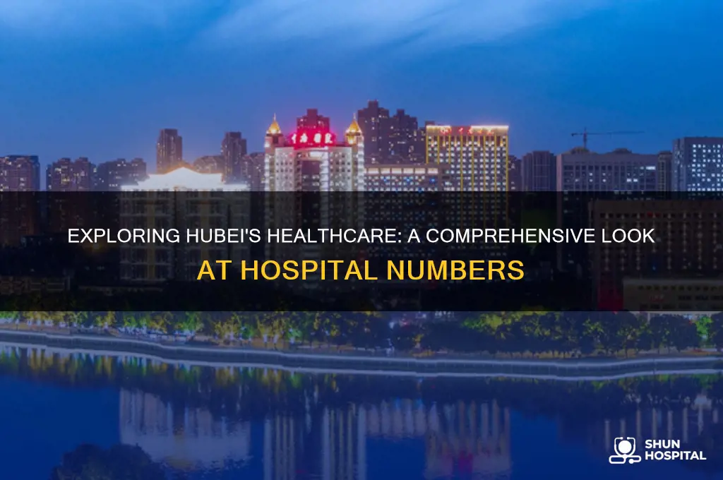 how many hospitals in hubei