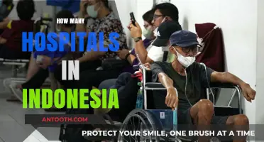 Exploring Indonesia's Healthcare Infrastructure: Hospital Count and Distribution