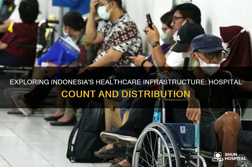 how many hospitals in indonesia