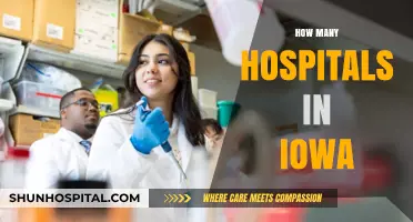 Exploring Iowa's Healthcare: A Comprehensive Count of Hospitals Statewide