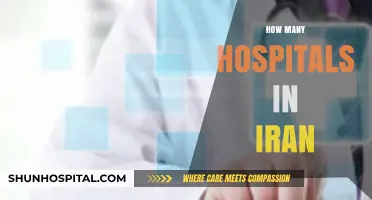 Exploring Iran's Healthcare Infrastructure: Hospital Count and Distribution