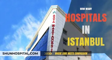 Exploring Istanbul's Healthcare: A Comprehensive Guide to Its Hospitals