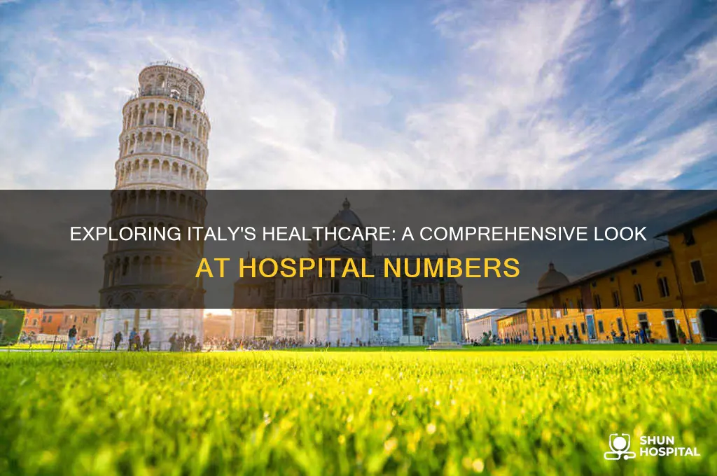 how many hospitals in itsly