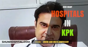 Exploring the Healthcare Infrastructure: Hospital Count in KPK Province