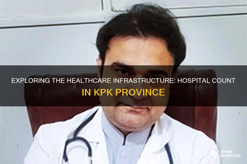 how many hospitals in kpk