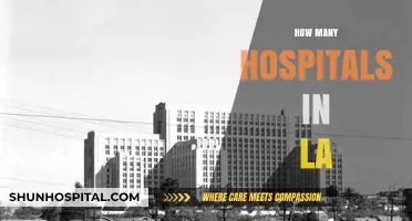 Exploring Los Angeles' Healthcare Landscape: Counting the City's Hospitals