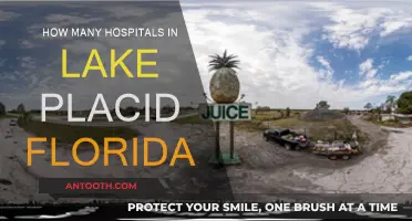 Florida's Lake Placid: Hospitals and Healthcare Options