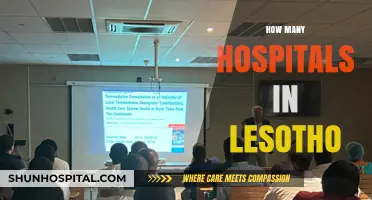 Exploring Lesotho's Healthcare: Hospital Count and Accessibility Insights