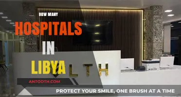 Exploring Libya's Healthcare Infrastructure: A Comprehensive Look at Hospital Numbers