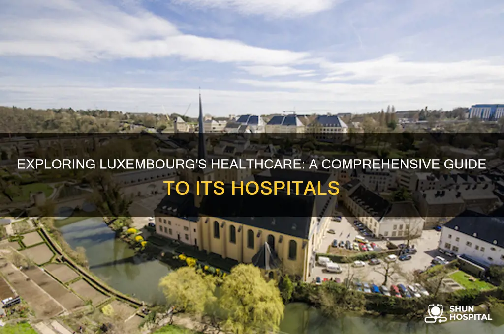 how many hospitals in luxembourg