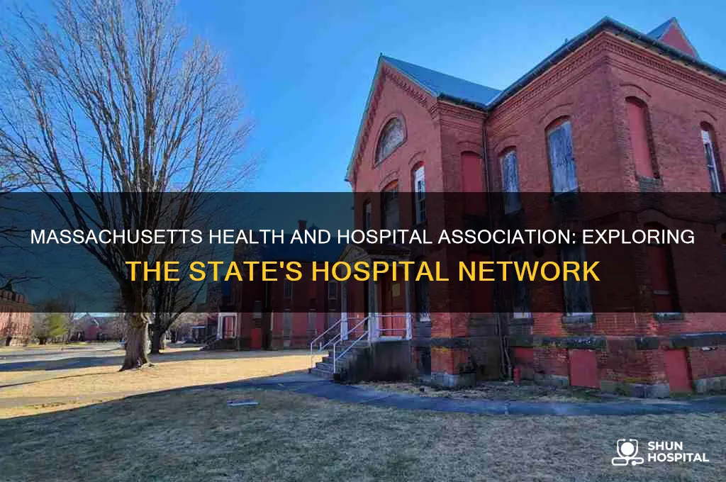 how many hospitals in massachusetts health and hospital association