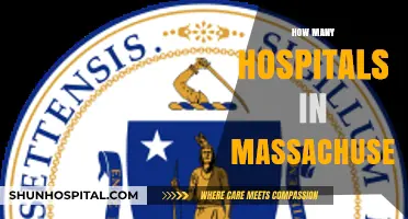 Exploring Massachusetts Healthcare: Total Number of Hospitals in the State