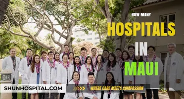 Exploring Maui's Healthcare: A Guide to Hospitals on the Island