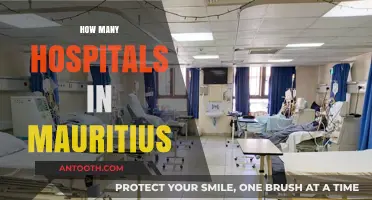 Exploring Healthcare Infrastructure: Hospital Count in Mauritius Revealed