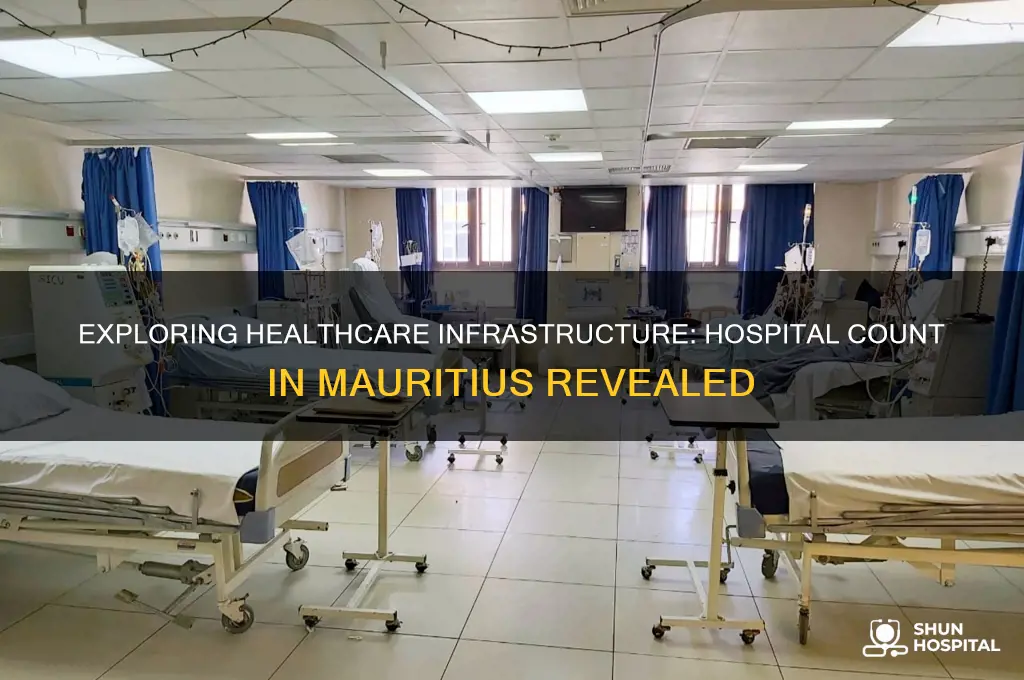 how many hospitals in mauritius