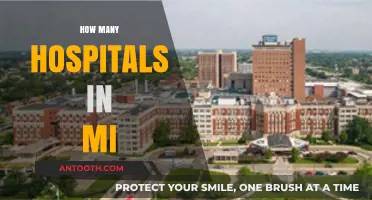 Exploring Michigan's Healthcare Landscape: Total Number of Hospitals in MI