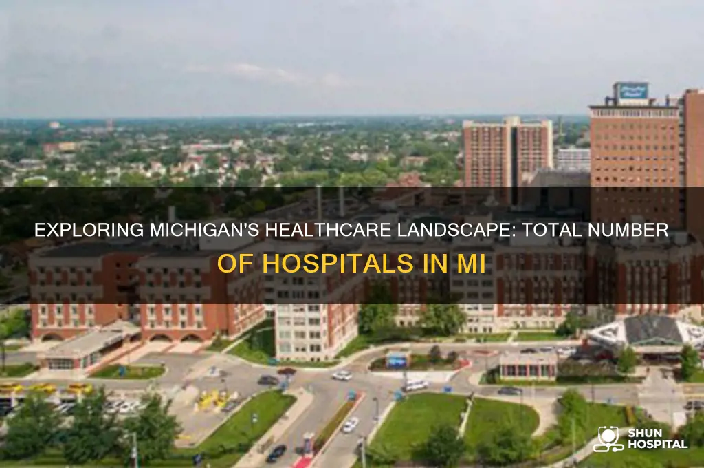 how many hospitals in mi