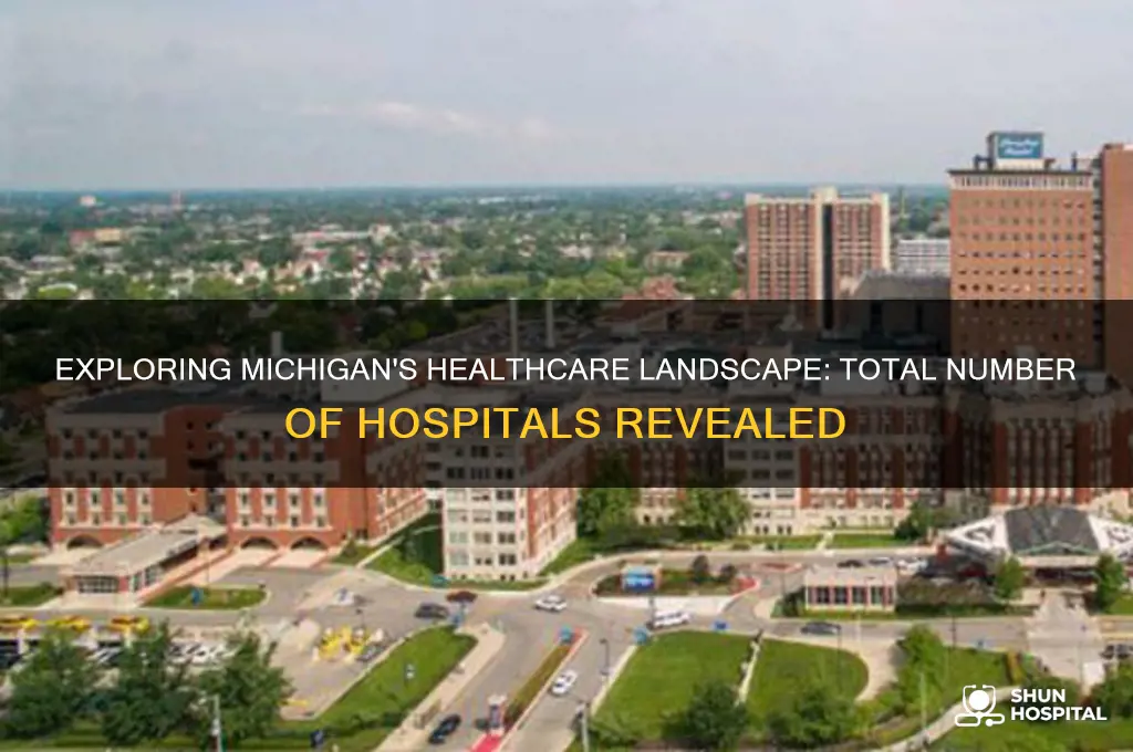 how many hospitals in michigan