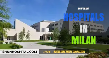 Exploring Milan's Healthcare: A Comprehensive Guide to Its Hospitals