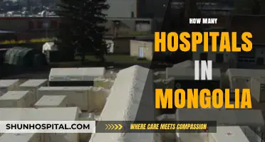 Exploring Mongolia's Healthcare: A Look at the Number of Hospitals
