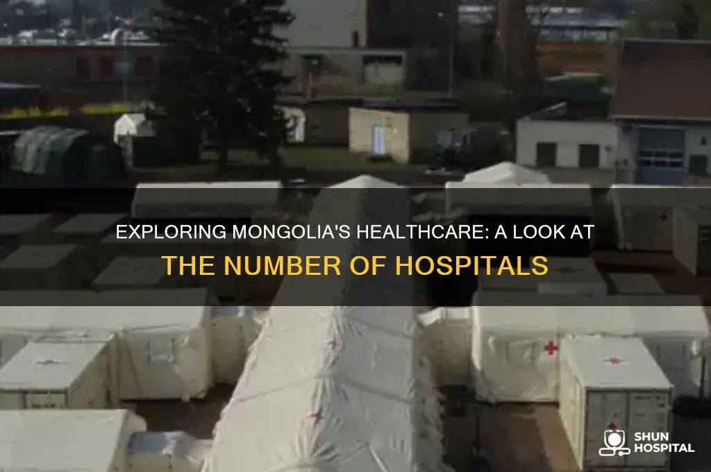 how many hospitals in mongolia