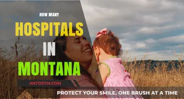 Exploring Montana's Healthcare: How Many Hospitals Serve the State?