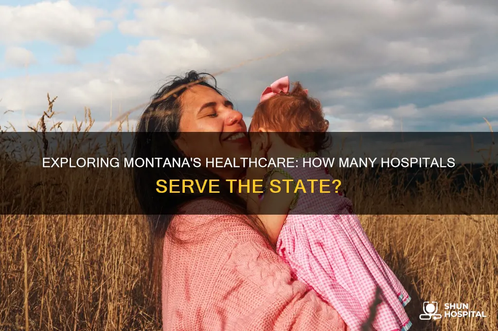 how many hospitals in montana