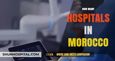 Exploring Morocco's Healthcare Infrastructure: A Comprehensive Hospital Count