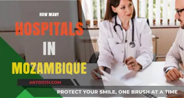 Exploring Mozambique's Healthcare: Total Number of Hospitals Revealed