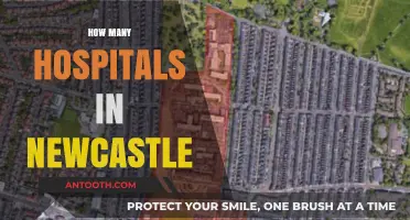 Exploring Newcastle's Healthcare: A Comprehensive Guide to Local Hospitals