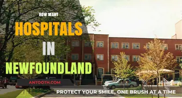 Exploring Newfoundland's Healthcare: A Comprehensive Look at Hospital Count