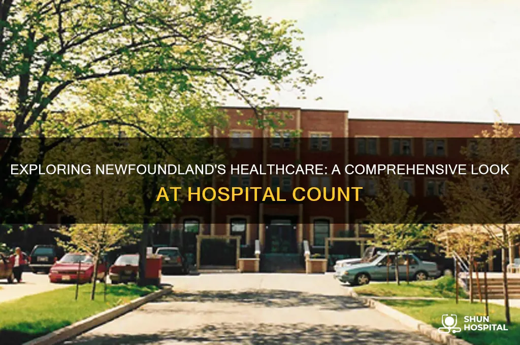 how many hospitals in newfoundland