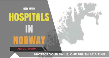 Exploring Norway's Healthcare: A Comprehensive Count of Its Hospitals