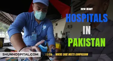 Exploring Pakistan's Healthcare Infrastructure: Total Number of Hospitals Revealed