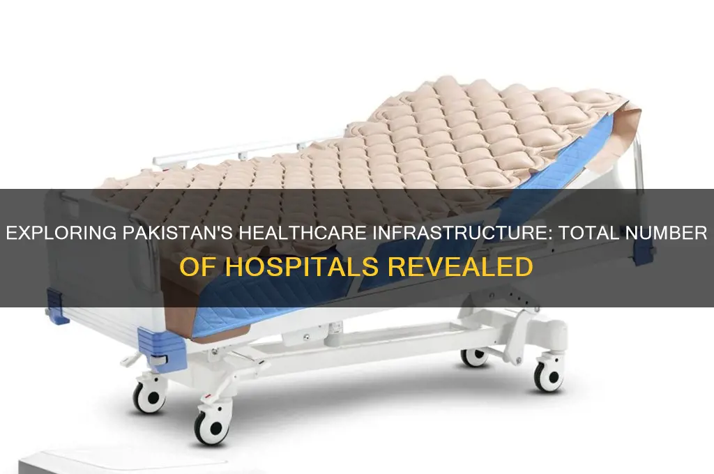 how many hospitals in pakistan